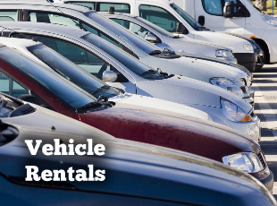 Vehicle Rentals